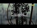 Por Ti No Moriré Joe Arroyo La Verdad Video Letra Discos Fuentes