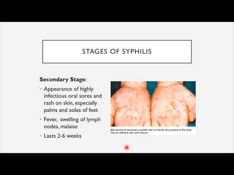 BIO 205 - Chapter 23 - Urogenital System Infections