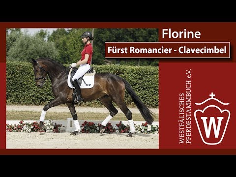 Florine  Stute v. Fürst Romancier - Clavecimbel