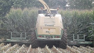 Krone Big X 1100 &amp; 3 Visini Tetra - Copeta Angelo &amp; Sergio - Corn silage 2018