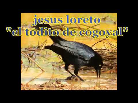 jesus loreto (el toldito de cogoyal) "el espanto de la rubiera"