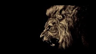 Lukas Graham - Before The Morning Sun (Unofficial Video)