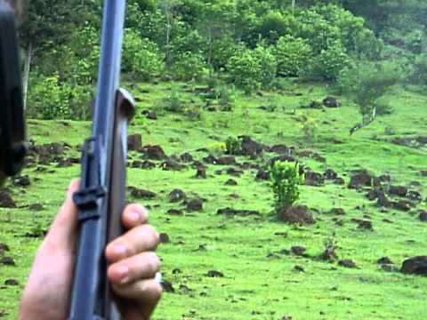 7.62x54r hunting load