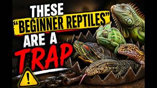 These “Beginner Reptiles” Are a Trap