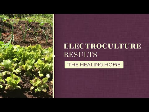 Electroculture Results