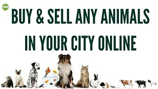 How to Buy & Sell any Dog/Cat/Cow etc. Online In Your City