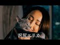 映画『猫は抱くもの』特報映像