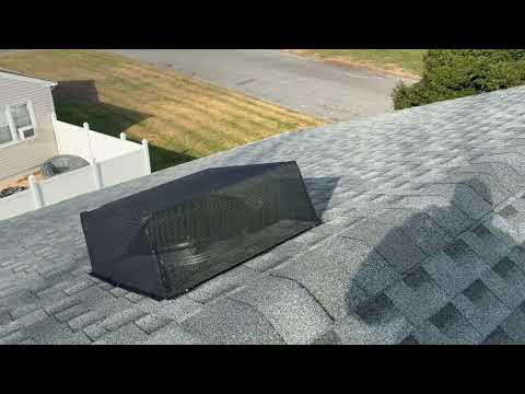 Making Sure Raccoons Don't Get Back Into the...