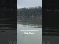 Scary James River Flooding! #bass #rain #tablerocklake