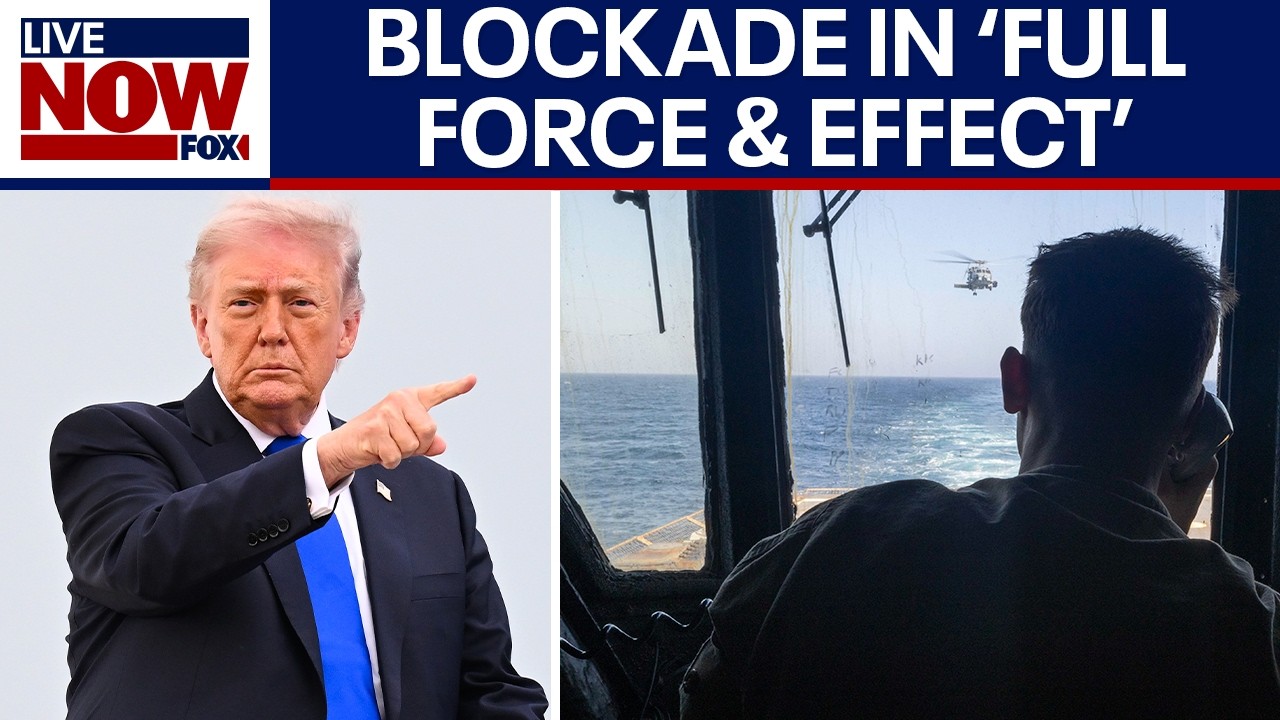 'Project Freedom': Trump pauses plan to guide ships through Strait of Hormuz