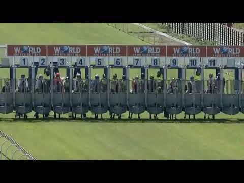 SAFE PASSAGE - 2021 World Sports Betting Dingaans