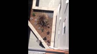 Why are my plants so small? Planning your future beautiful garden.