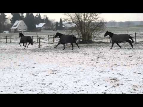 Für Lea! Die 3 Schnuffelmonster im Schnee 03.01.2016