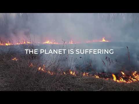 EcoRight: The Story of Sustainability 💚