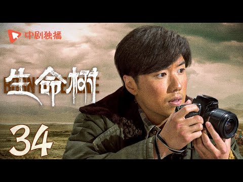 生命树 34 | Born to be alive 34（杨紫、胡歌、李光洁、张哲华、杨烁、梅婷 领衔主演）