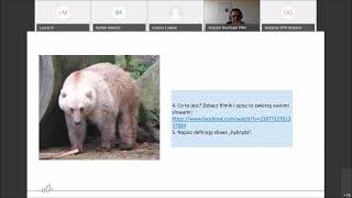 Niedźwiedź polarny