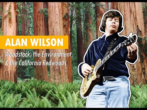 Alan Wilson: Woodstock, the Environment, & the California Redwoods