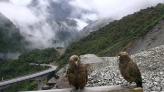 preview picture of video 'Arthur's Pass, New Zealand'