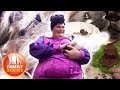 Business Dome Verkauft Schokolade  Krieg Endlich Dein Leben In Den Griff Family Stories