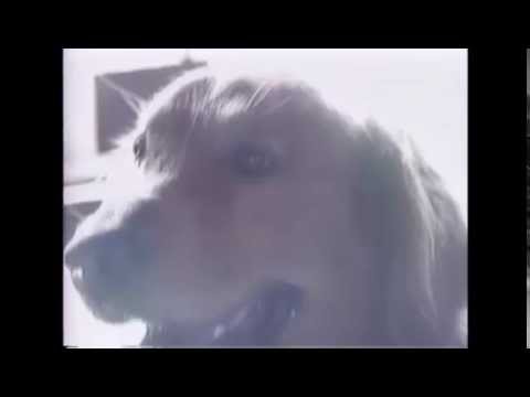 Tom Dillon - Fiddle Contestant - Bethel 1990