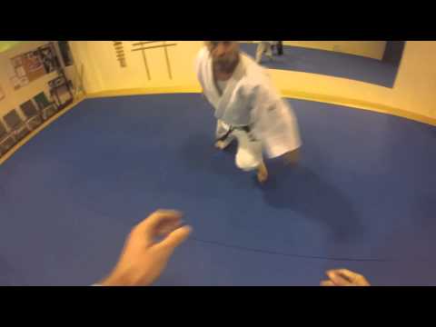 Aikido Jiyu Shite's view 2