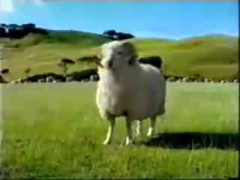 Video divertentissimo - pubblicità Toyota Hilux - spot tv commercial.MP4