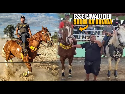 Cavalo Sem Documento Ganha 15 Mil Reais Em Desafio/ O MARRETA