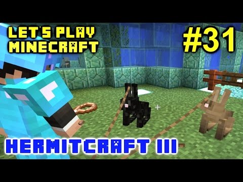 Minecraft Amplified Survival Ep. 31 - Bunny Abuse !!! ( Hermitcraft Server )