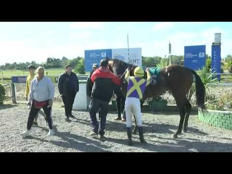 SINT COLONIA - 220526 c05 1° RINDT (BRZ)