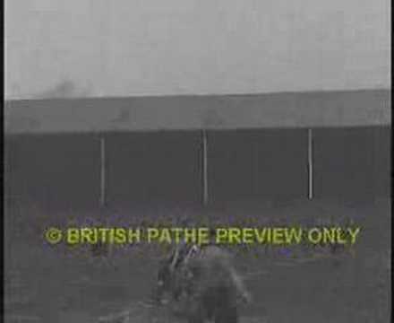 Sunderland vs Wolves