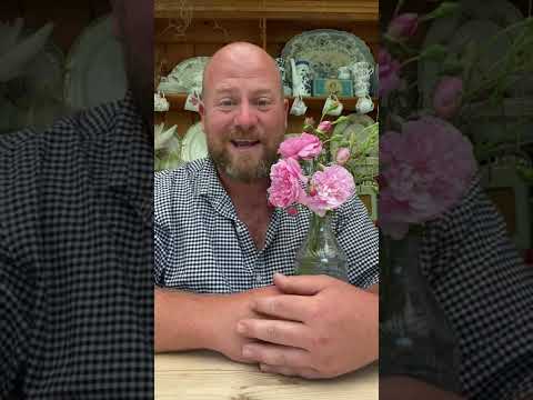 My top 10 recommends or must have @david_austin_roses #gardenerben. Old version