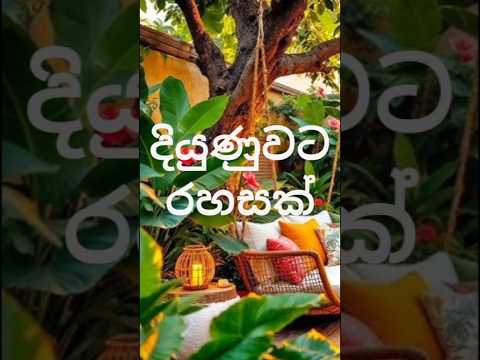 diyunuwata rahasak #kemkrama 🤫