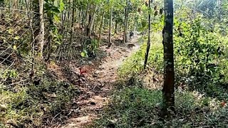 Download lagu berburu babi hutan dapat satu masuk jaring mp3