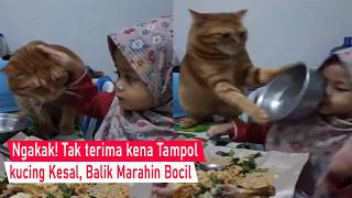 Download lagu Funny moments of a cat getting a playful smack from a little kid while trying to swipe their food mp3