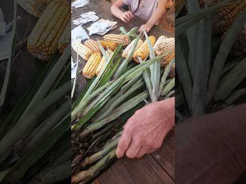 Productor de maíz y abacaxí de Arroyo del Medio