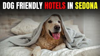 Canine Comfort in the Canyon: Unveiling Sedona's Top Dog-Friendly Accommodations!