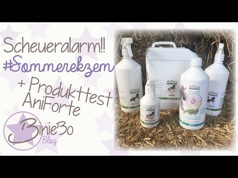 Das trockene Ekzem von der Fußsohle der Beine Die Medikamente von der Schuppenflechte aus jegipta