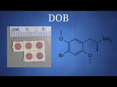 DOB: What We Know