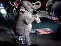 Ringlin Bros 2008