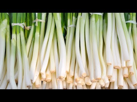 , title : 'Eating Green Onions: Benefits and Nutrition Facts That You May not Know | Health And Nutrition