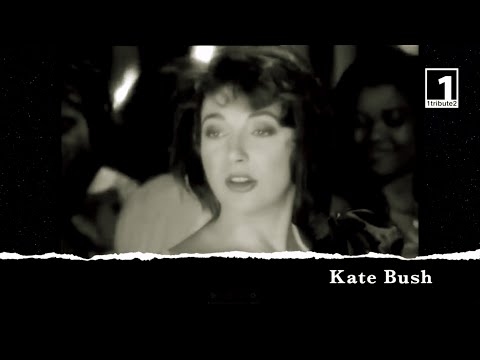 1tribute2... Kate Bush (2019) - A Tribute to Cathy