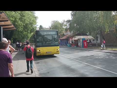 MAN SG313 Japanac, izlaz na liniju 17