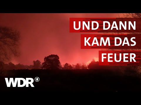 Als der Wald in Flammen stand | Heimatflimmern | WDR