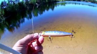 Pontoon 21 crackjack 98sp dr