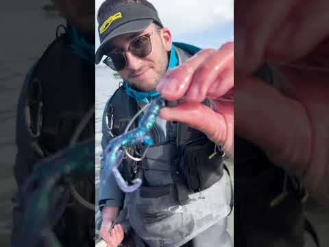 Il serait temps d’avoir l’Insta Craw dans vos boîtes❗️ 😍