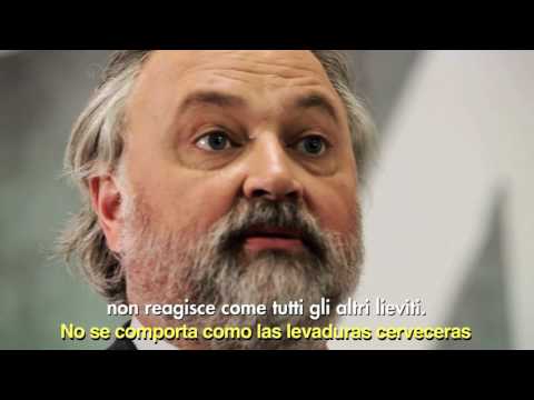 VIdeo Promocional Heineken Cerveza H41