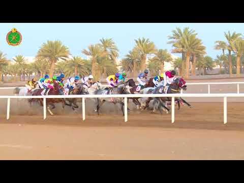 الشوط الثامن - السباق الثالث- 02/11/2018 - Race 8 3rd meeting