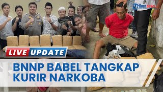 Penumpang Mobil Travel dari Palembang Bawa Ganja, BNNP Babel: Diduga Bandar Jaringan Antar Provinsi
