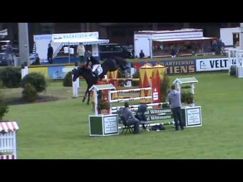 CHUPAMINT - Cormint x Calato, Geb. 2007, gekörter Holsteiner Hengst