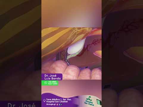 Jose Luis Banda-20